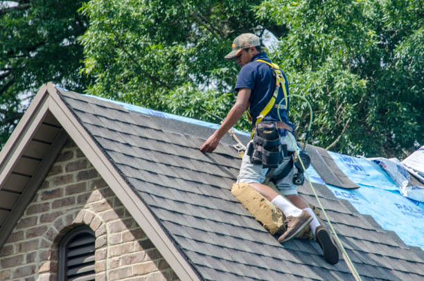 Best Gutter Installation and Roofing  in Harkers Island, NC